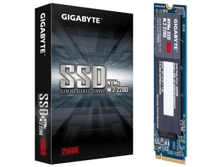 Gigabyte 256GB M.2 PCIe NVMe SSD [GP-GSM2NE3256GNTD]