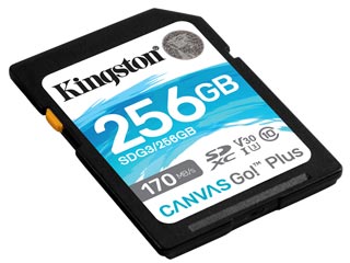 Kingston Canvas Go Plus 256GB SDXC Class 10 UHS-1 U3 [SDG3/256GB]