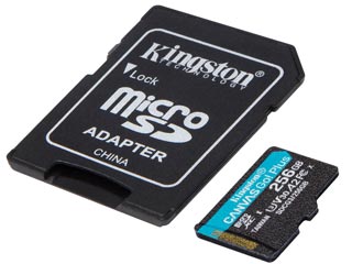 Kingston Canvas Go Plus 256GB micro SDXC Class 10 UHS-1 U3
