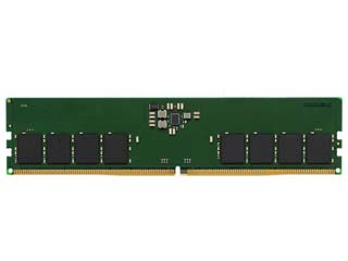 Kingston 48GB DDR5 5600MT/s Module