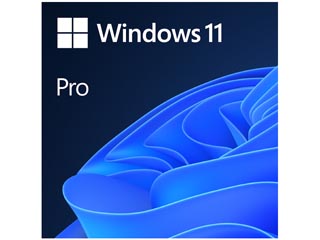 Microsoft DSP Windows 11 Professional 64-bit English [FQC-10528]