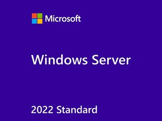 HPE Windows Server 2022 Standard 4 Cores Add-On License ROK [P46196-B21]