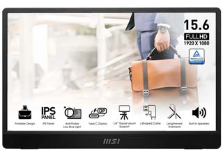 MSI PRO MP161 E2 Full HD 15.6¨ Wide LED IPS - 60Hz / 4ms Portable Monitor with AMD FreeSync