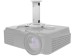 Neomounts Projector Ceiling Mount 15kg - White [BEAMER-C80WHITE] Εικόνα 4