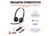 Poly Blackwire 3220 Stereo USB-C Headset with USB-A Adapter [8X228AA] Εικόνα 2