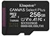Kingston Canvas Select Plus Gen 3 256GB micro SDXC Class 10 UHS-1 U1 V10 A1 + SD Adapter [SDCS3/256GB] Εικόνα 2