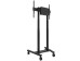 Neomounts FL55-875BL1 Mobile TV Stand - 55-100¨ - Black [FL55-875BL1] Εικόνα 2